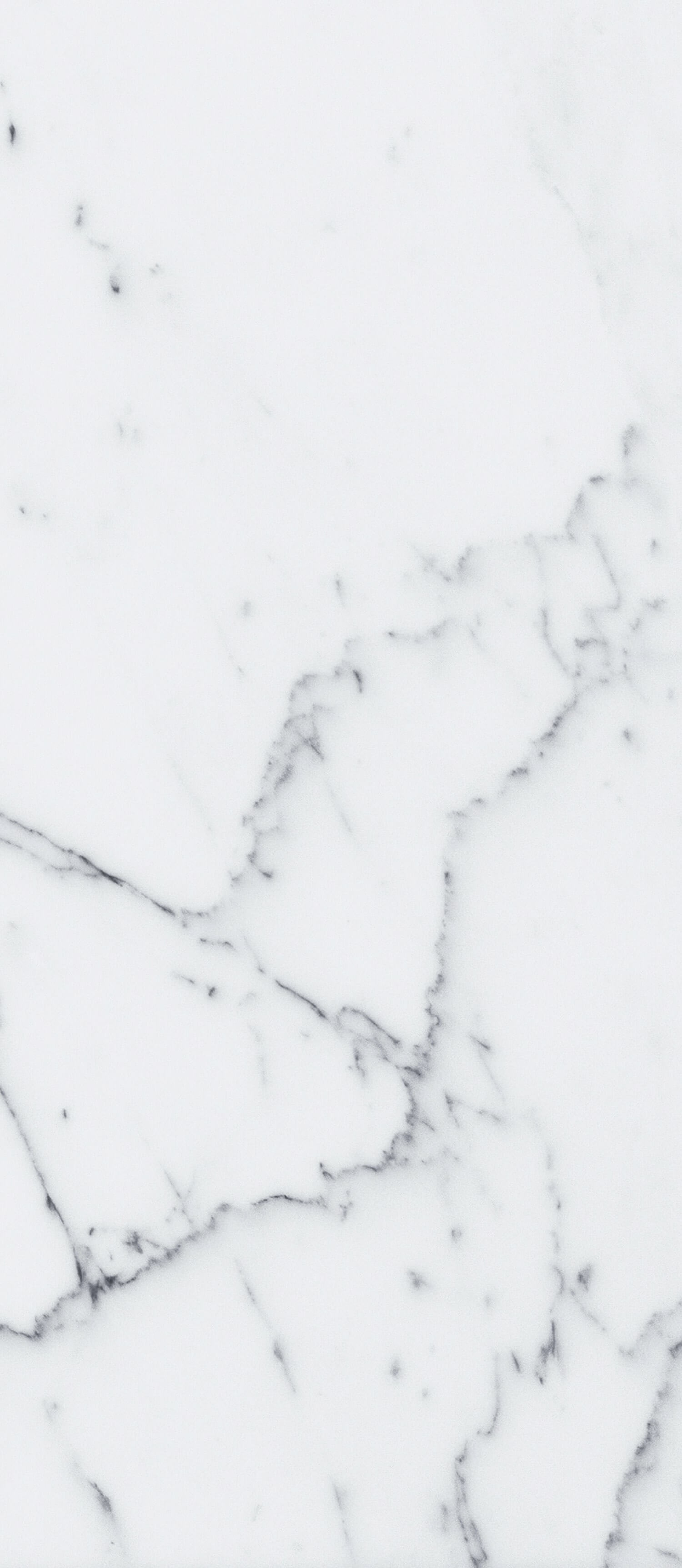 Marble and flowers background