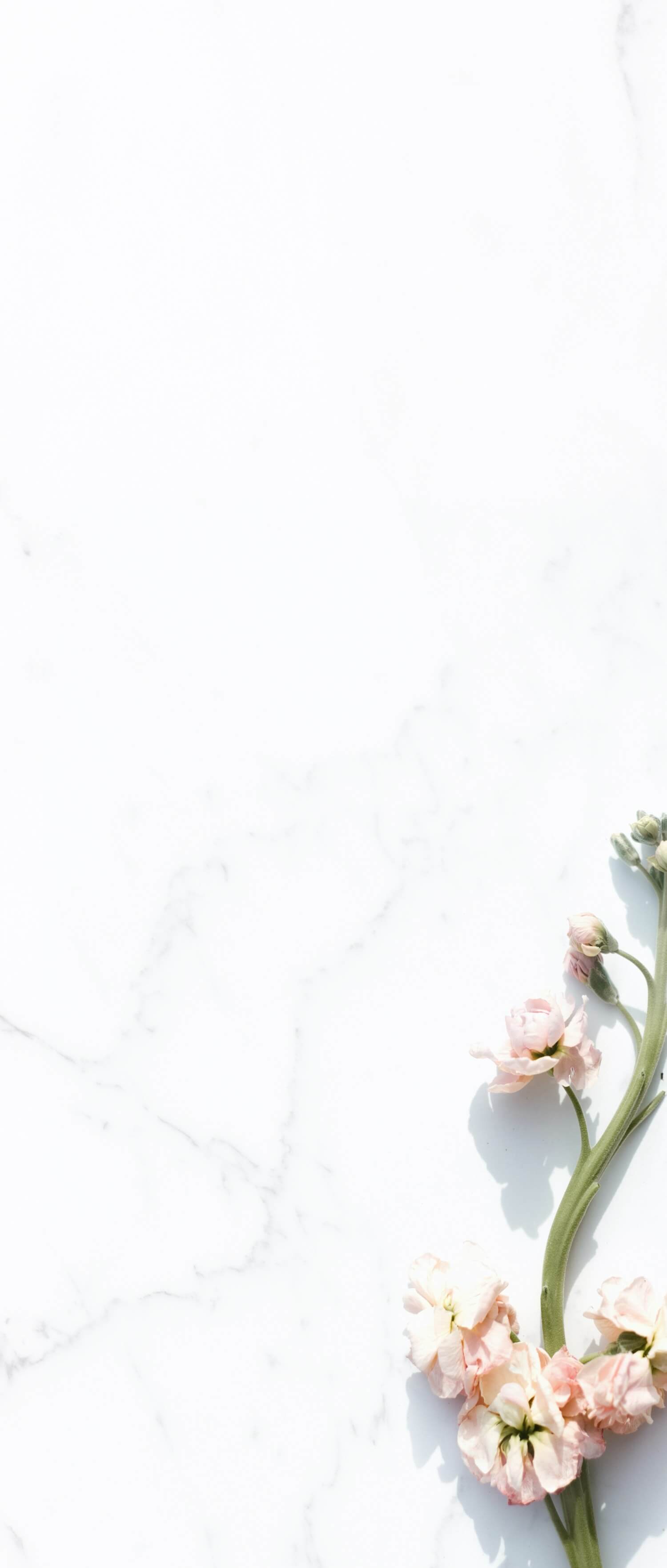 Marble and flowers background